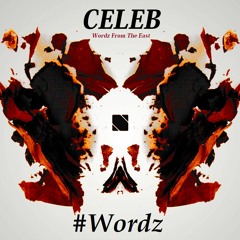 Celeb - I Want Bands