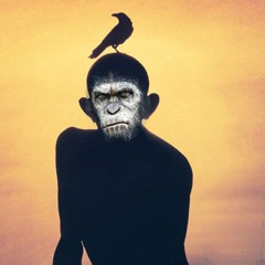 Wladi Westside - Not Jammu