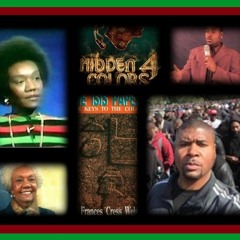 Guest: Tariq Nasheed - Tribute to Dr Frances Cress Welsing-Extraordinary light