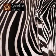 Absolute Zebra - Purple Waves
