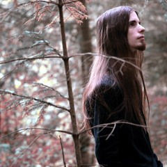 Dark Music - Into The Shadow Realm (Adrian Von Ziegler)