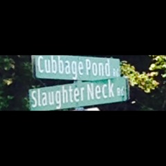 Back To Back (Cape Diss) RPver