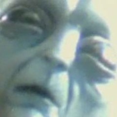 ThatLadyWhoTakesTheLastScoopOfFirecrackerChicken