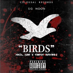 Birds - Lil Noon (Prod. Trent Waters & Dre Beatz