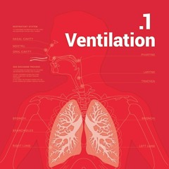 13 믿을진 모르겠지만