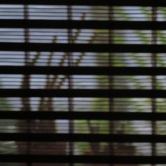 Jerry is not allowed - กลิ่น (Demo)