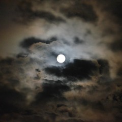 Downtempo/PsyChill