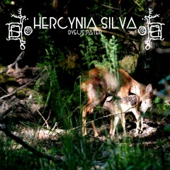 HERCYNIA SILVA "Hypatie"