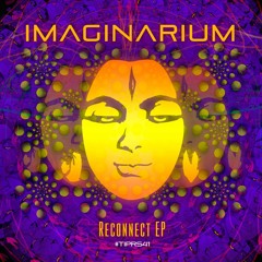 Djantrix vs Imaginarium - Reconnect ( OUT NOW @TIP RECORDS )