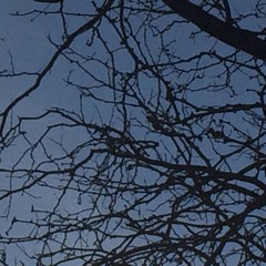 Rooted in #dubstep at #Denver CO