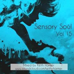 Sensory Soul Vol 15 - Keith Harmer
