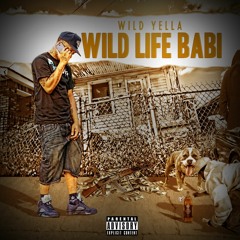 Wild Life Babi (Album)