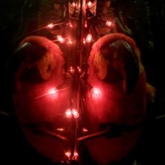 Holotropic Deathwork