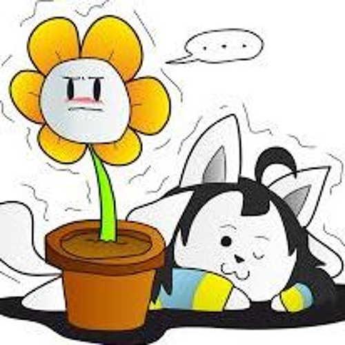 It's Hoi Or BE Hoi'd!