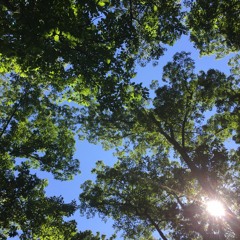 Don Echelon (Travi$ Scott x Kanye)