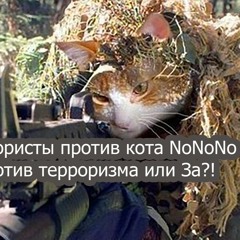 Коты - Террористы против Кота NoNoNo