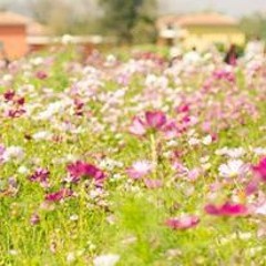 หมวยเอง - Windrumsex