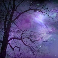 Four dimensional fox