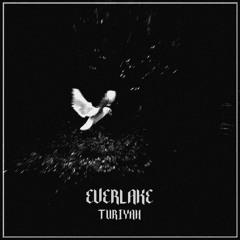 Dark Trap