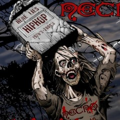 NecroFlippant - Stupeflip / Necro (mashup)