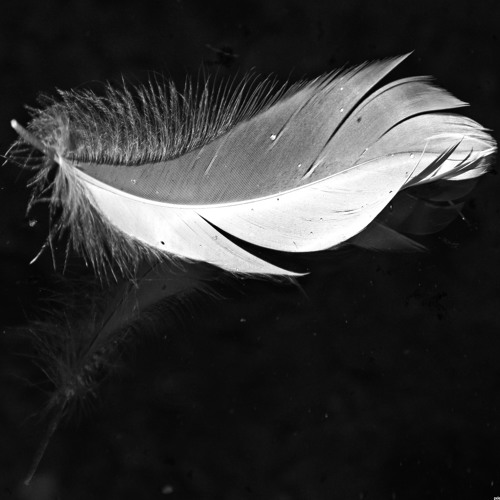Feather Flight
