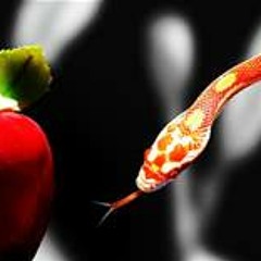 Tempted(prod.byOG_Sav)