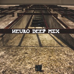 P.NUTZ - NEURO x DEEP MIX
