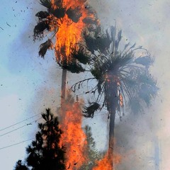 Anniversary by ArdyPine & Benjamin Burling