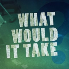 What Would It Take (Radio Edit) - Single