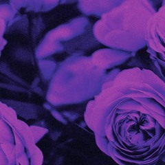Shoegaze Love 59