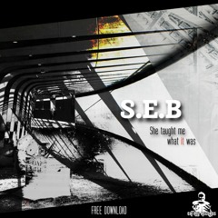 S.E.B - She Taught Me What It Was [Free Tune]