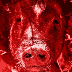 Pot Belly - Something In The Way - Nirvana Cover