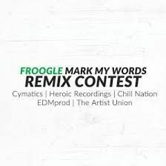 Mark My Words (Feat. Josh Rubin)(Ceez Baunse Remix) - Froogle