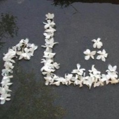 سنرجع يومًا الى حينا