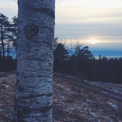 If The Stars Were Mine (Melody Gardot Cover)