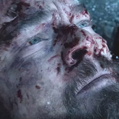 Frozen Blood (my music expression after watching movie "The Revenant" hope you will like it!)