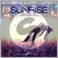 Electric Elephants Won't Get Lost(XandR Mashup)