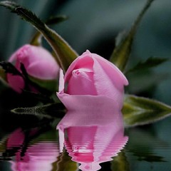 Ali Yildiz Senden baskasini Sevemiyorum