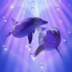 Be My Dolphin (Valentines day demo)