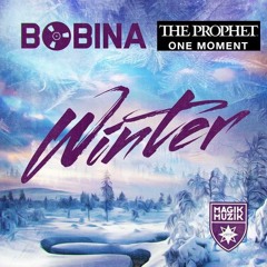 Bobina Vs. The Prophet - One Moment In Winter (Sandro Vanniel Mashup)