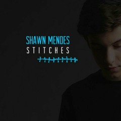 Shawn Mendes - Stitches (cover)