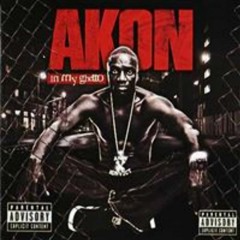 Akon - Sorry, Blame It On Me ( Roanin Remix)