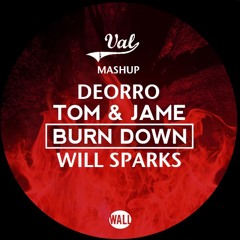 Tom & Jame vs. Deorro feat. Will Sparks - Ah Bootie Burn Down (VAL Mashup)