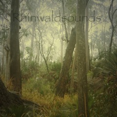 Wurschtsalat (Schnipsel)