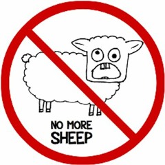NO SHEEP