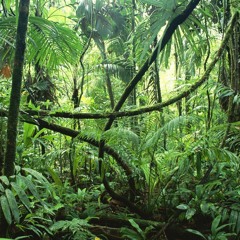 Come Hell Or High Water