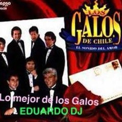 LO MEJOR DE LOS GALOS(EDUARDO DJ)