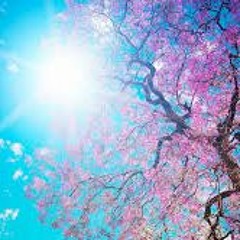 Spectrum Arc - Spring