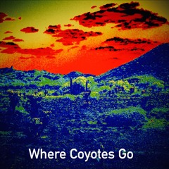 Pow R. Toc H. - Where Coyotes Go