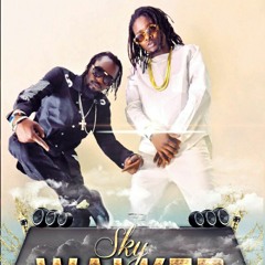 #SkyWalker - Radio & Weasel